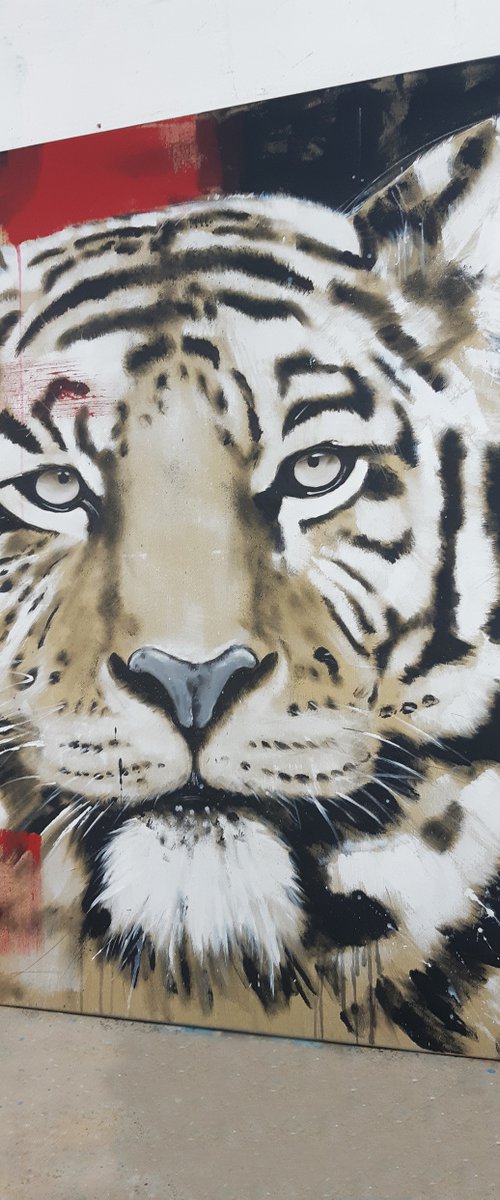 Big Cat - TIGER #6 by Stefanie Rogge