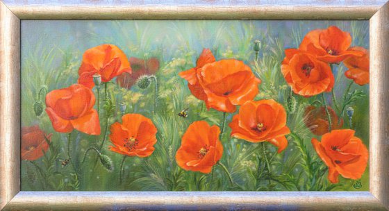 Poppies