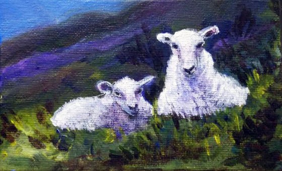 Mary's Little Lambs on the hills