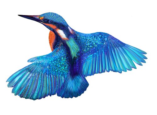 Kingfisher in Flight by Cathy Whittall