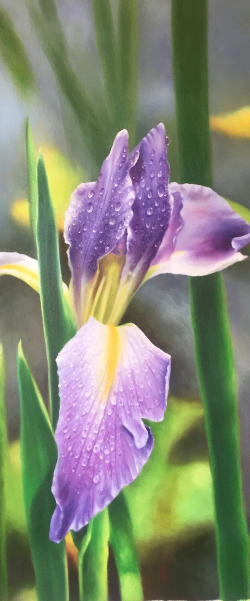 Realism oil painting:flowers c133 by Kunlong Wang