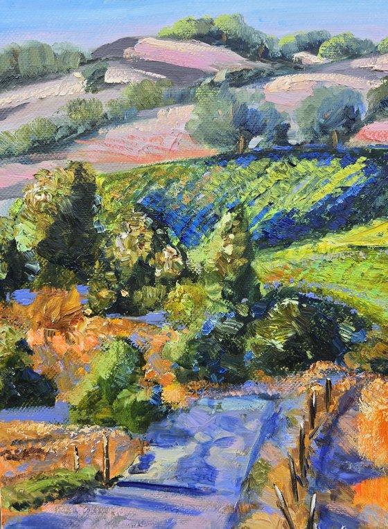 Sunlit Fields