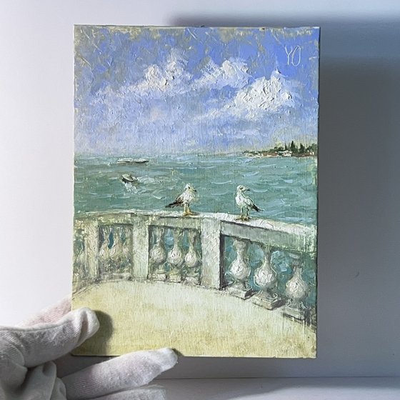 Venice Lagoon Seagulls Terrace