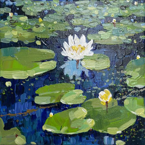 Water lilies. Flash in the dark by Yevheniia Salamatina