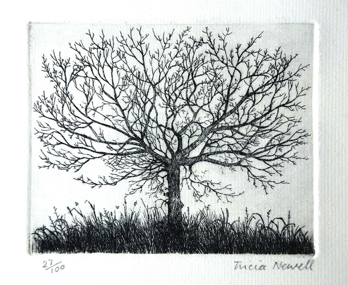 Tree by Tricia Newell
