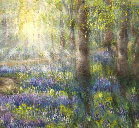 Bluebells forest