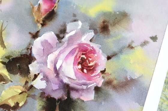 Watercolour rose