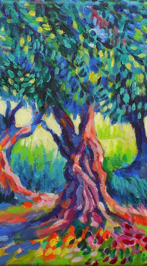 Old olive orchard XII by Maja Grecic