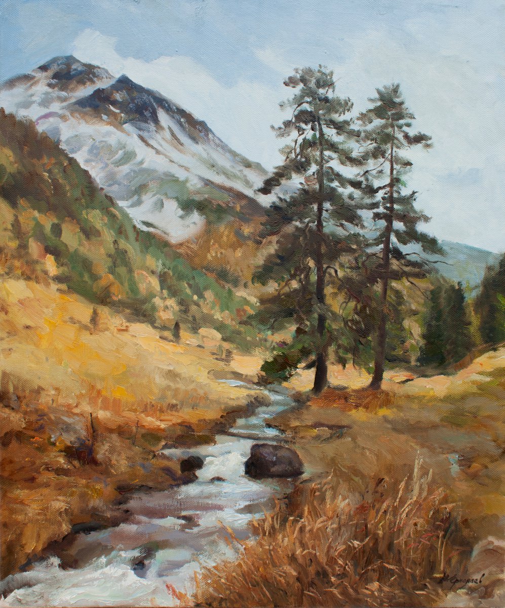 A stream in the foothills by Yuri Ermolaev
