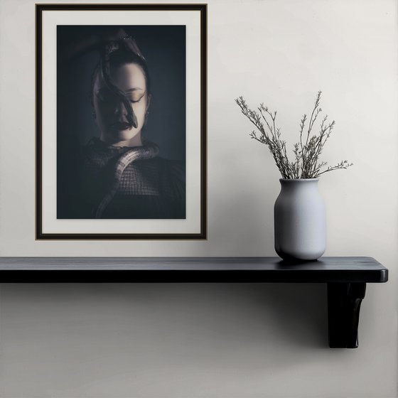 Ecailles IV