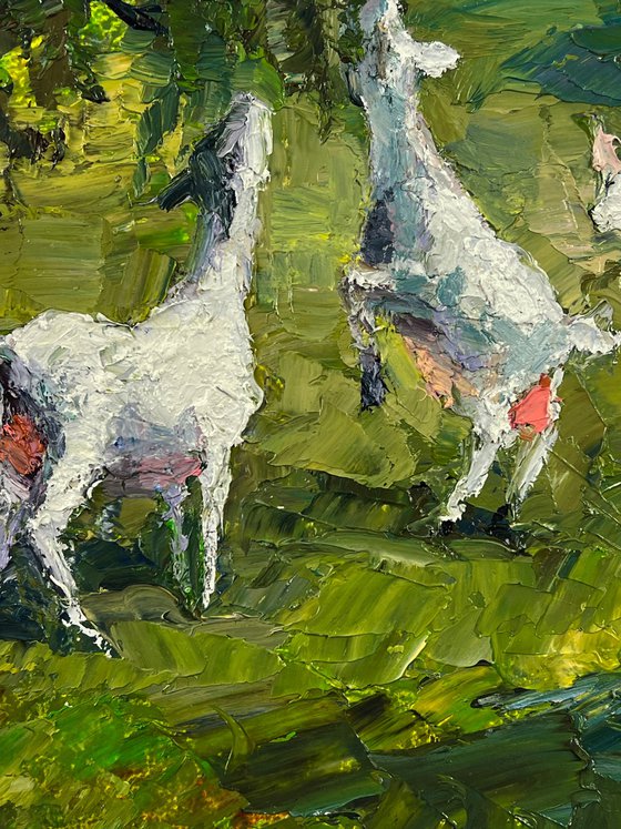 Summer Day on the Pasture