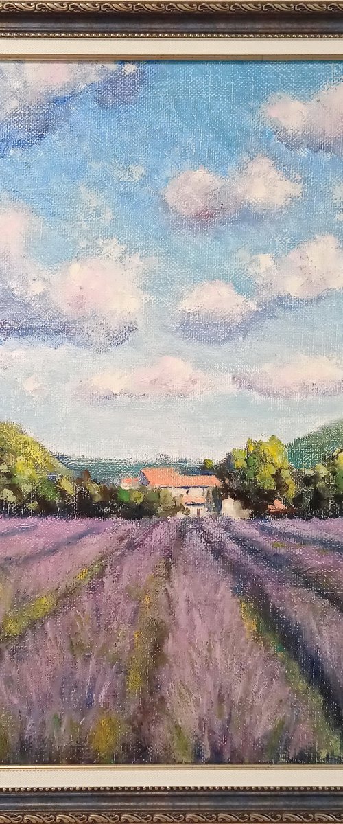 Provence by Oleh Rak