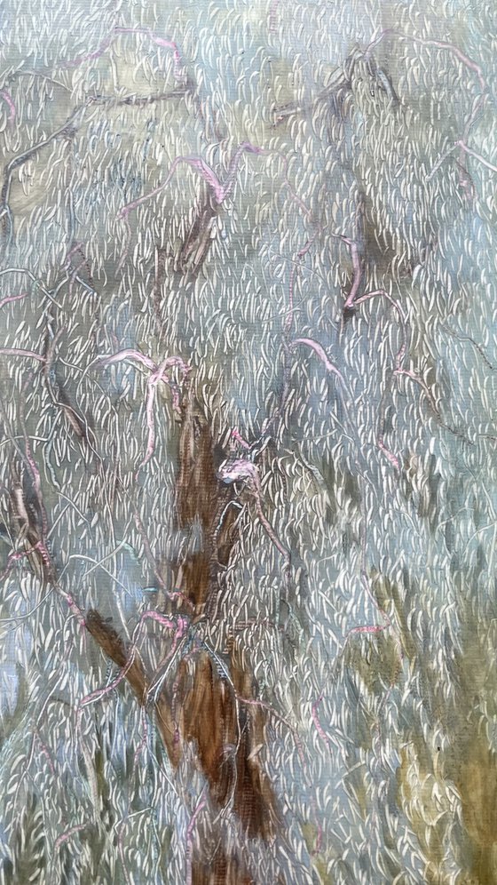 Old Willows by the River