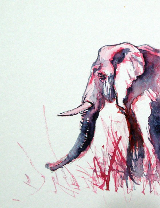 Elephant