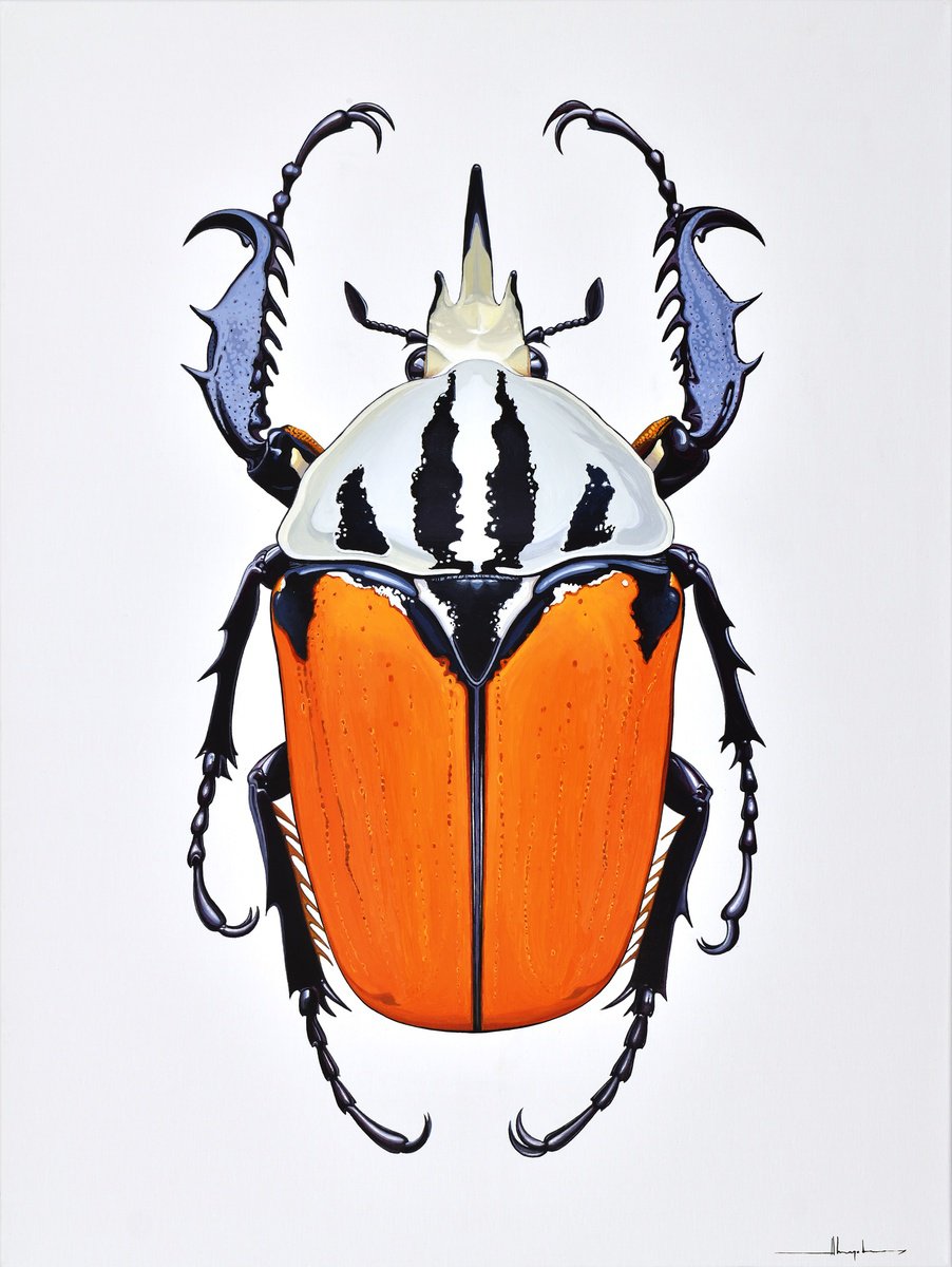 Flower Beetle #1 by Alex Nizovsky