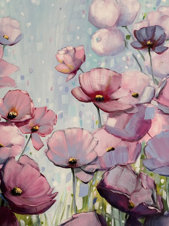 Poppies Land 16