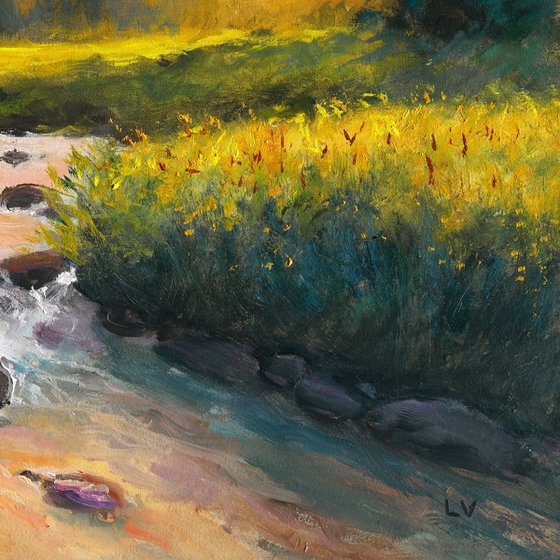 Pine trees by the river sunset