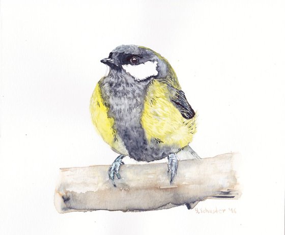 Watercolour birds portraits series. Chickadee Bird N1