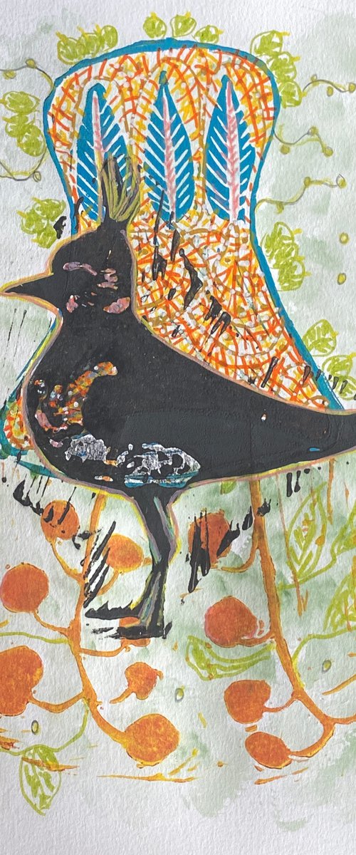 Lapwing by Sidse Friis