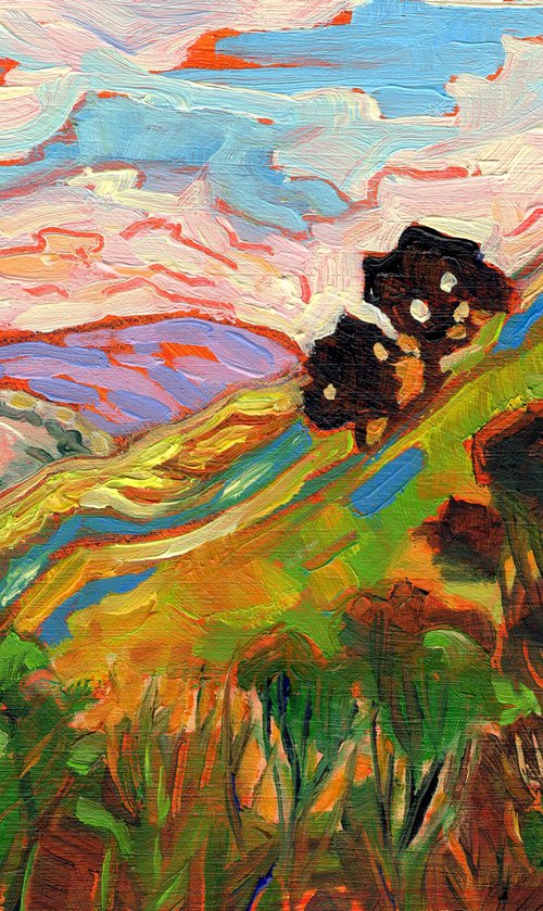 Small Landscape - Hillside Derbyshire by Mary Kemp
