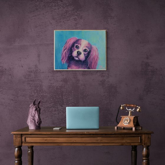 Cavalier King Charles Spaniel. 50x40 cm