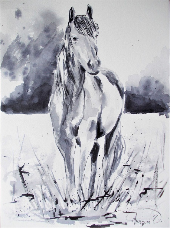 Horse Original Black And White Watercolor Paint Artfinder