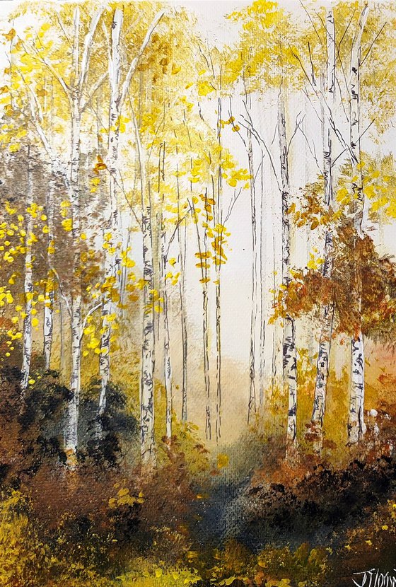 Autumnal woodland 3