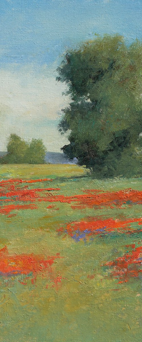 Spring Poppies 220502, flower field impressionist landscape oil painting by Don Bishop