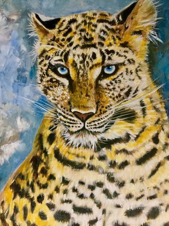 Leopard . Blue  eyes. Best gift for cat lovers. Big cat .