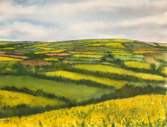 Fields of gold