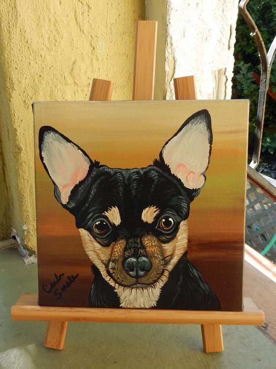 Tri Color Chihuahua Pet Dog Original Art Painting-8 x 8 Inches Deep Set Stretched Canvas-Carla Smale