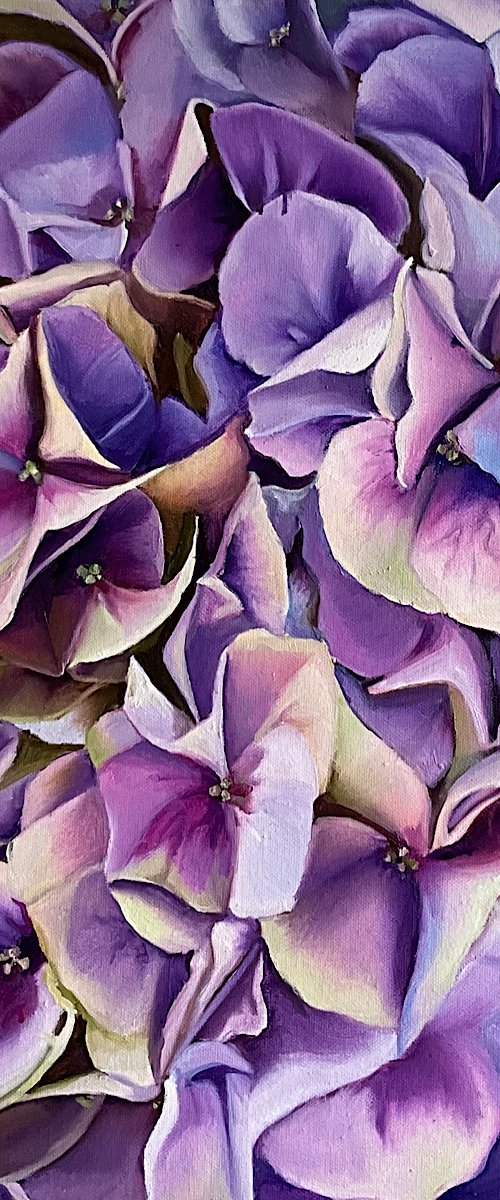 Hydrangea. Fragment. by Natalia Lugovskaya