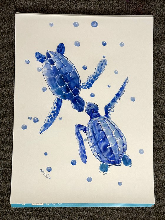 Two Blue turtles