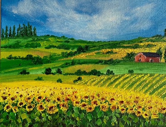 Sunflowers Field