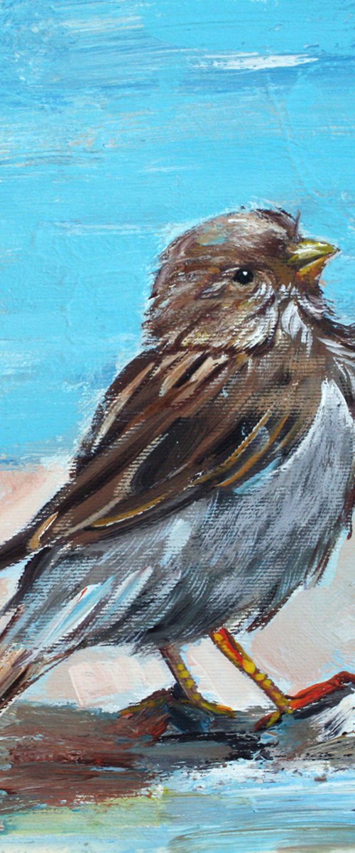 " SPECIAL PRICE,AFTER THE BATH ... " ORIGINAL PAINTING PALETTE KNIFE, GIFT,BIRD, OIL ON CANVAS by mir-jan