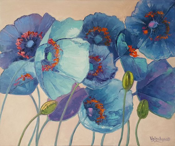 Blue poppies