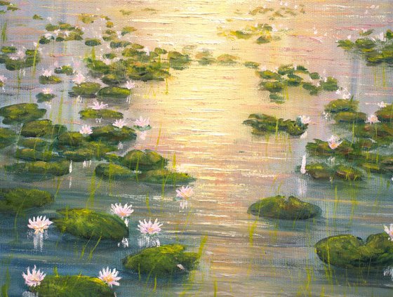 Lilies pond