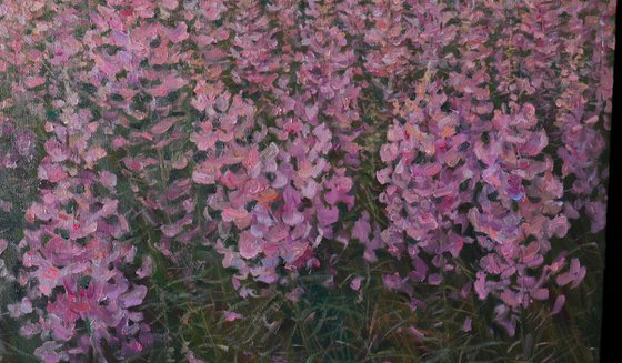 Sunset Over The Fireweed Field - summer painting landscape