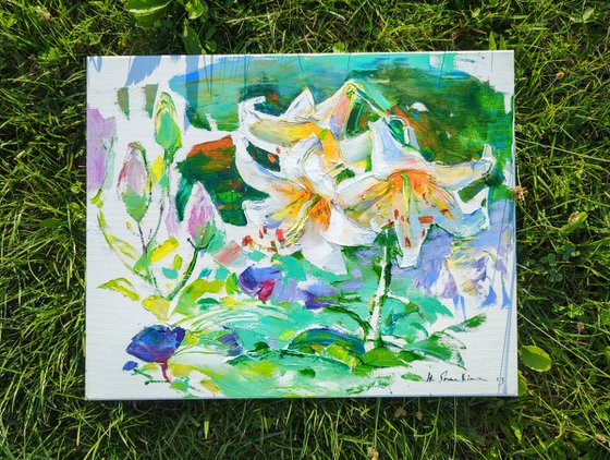 White lilies . Morning sun . Floral sketch