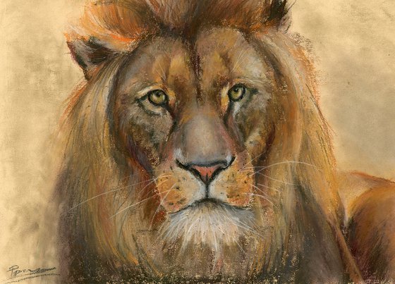 Lion - Original Pastel Drawing