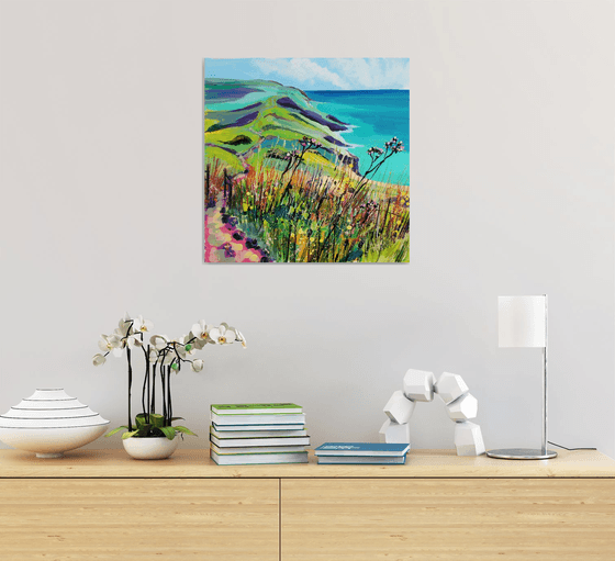 Bolberry Down - Path to Soar Mill Cove