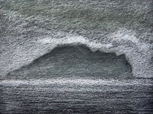 Turtle Island on a Misty Day by David Lloyd