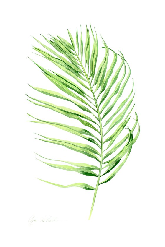 Palm Leaf 2