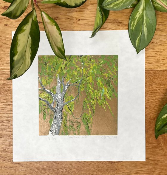Birch Tree Linocut Print
