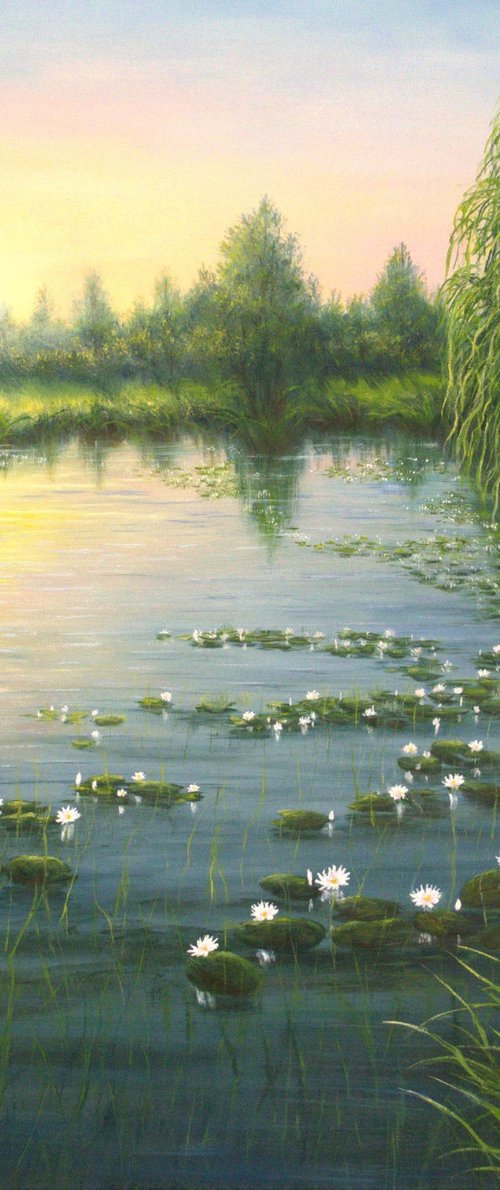 Water lily pond by Ludmilla Ukrow