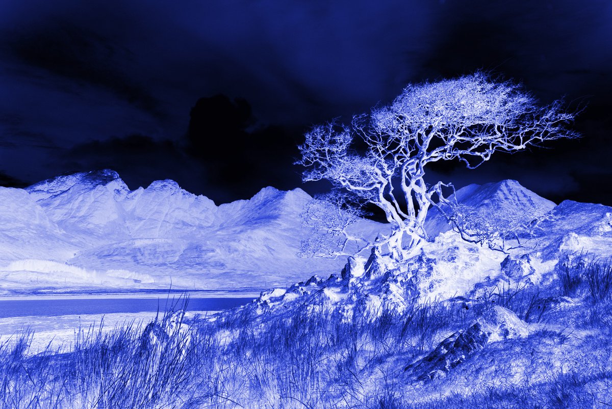 Ghost Tree, Blue, abstract Scottish mountain landscape by oconnart