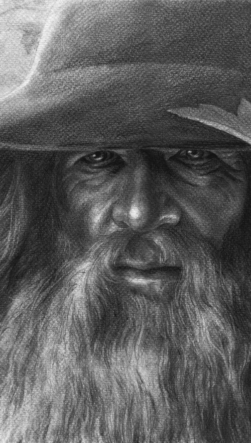 Wizard Gandalf " The Lord of the Rings". by SVITLANA LAGUTINA