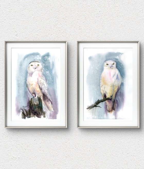 Snowy Owl Diptych