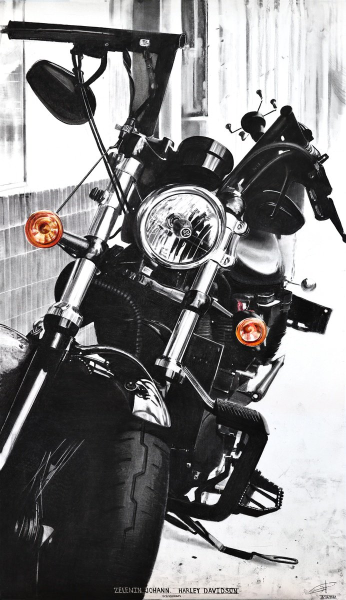 Harley Davidson by Johann Zelenin
