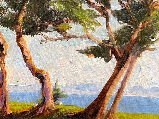 Cypress Trees plein air sketch